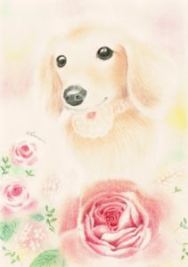 パステル画・色鉛筆画2018~2019ギャラリー | Pastel Doggy
